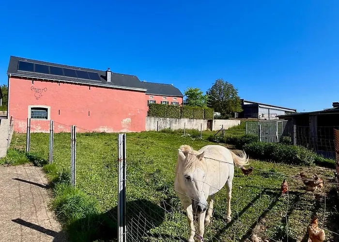 Eschette Retreat Appartement Rambrouch